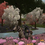 ScreenShot 2024-01-27 163426 0